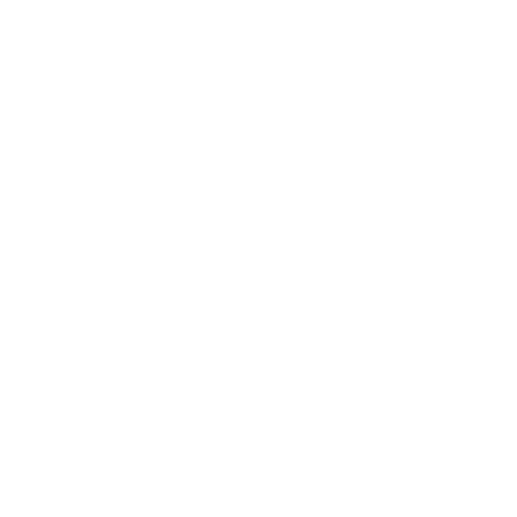 Moped Outlaws